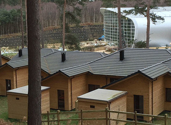 Centre Parcs Case Study